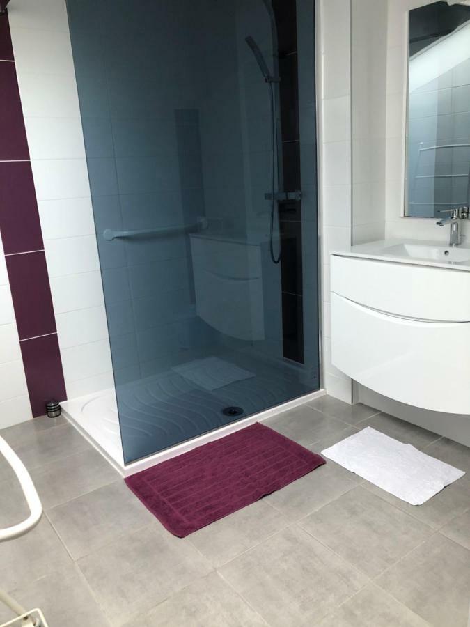 Les Lauriers Roses Hotel Bourg-lès-Valence Екстериор снимка